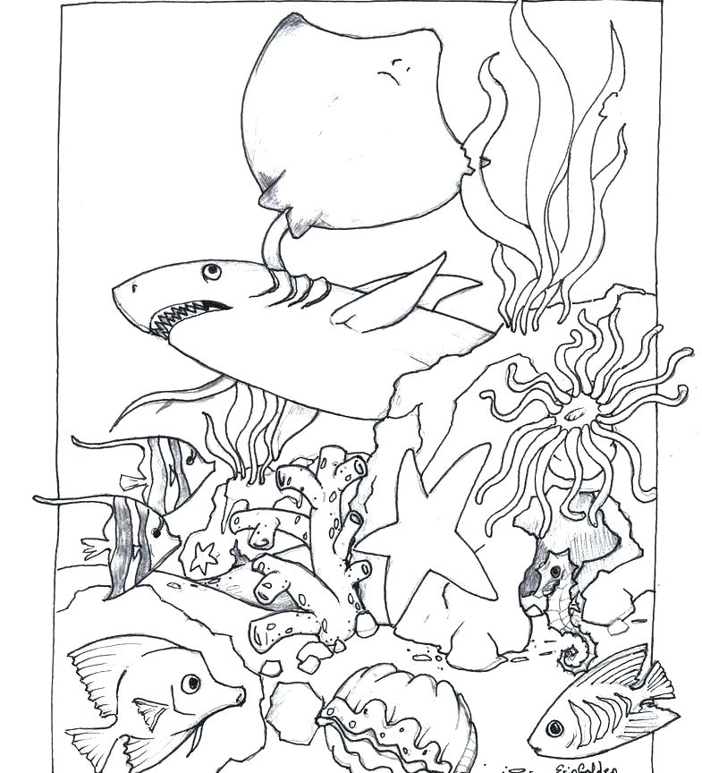 785x864 Animal Coloring Book Pages Farm Animals Coloring Pages Free