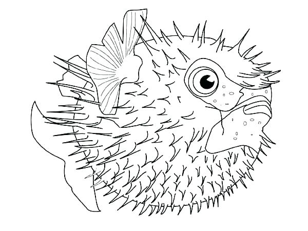 600x450 Animal Coloring Pages Sea Animals Fish Free Page Download Print