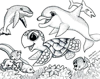 400x318 Simple Sea Animal Coloring Pages Print Animals And Creatures