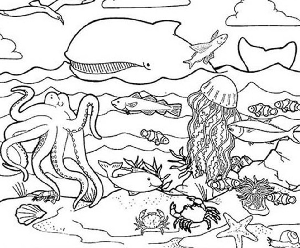 963x799 Habitat Coloring Pages Sea Animals Animal Coloring Pages