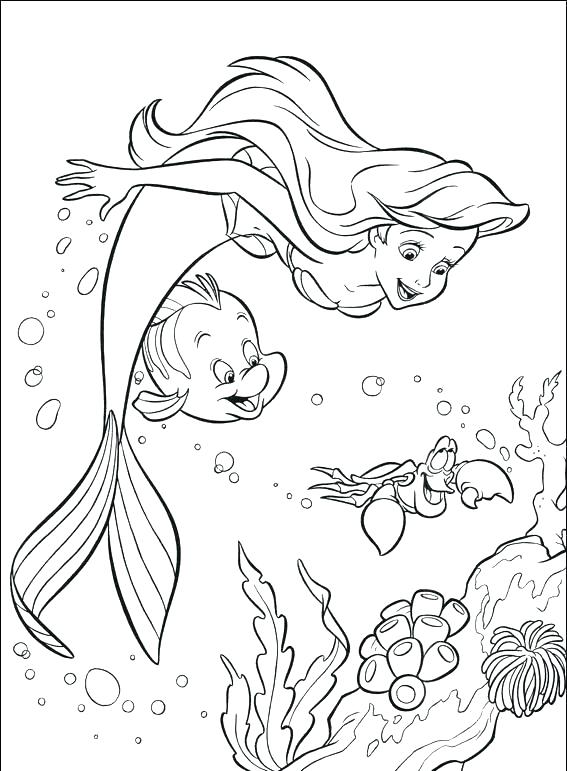 567x771 Marine Coloring Page Ocean Life Coloring Pages Full Size
