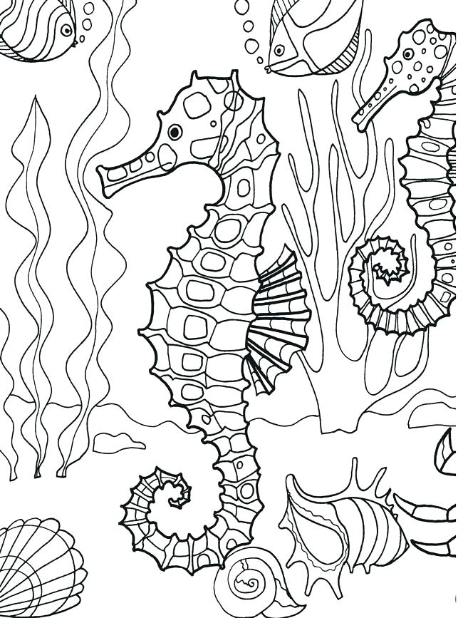 650x867 Ocean Life Coloring Pages Underwater Sea Creatures Coloring Pages