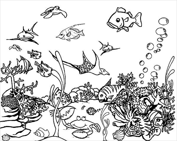600x480 Sea Coloring Pages