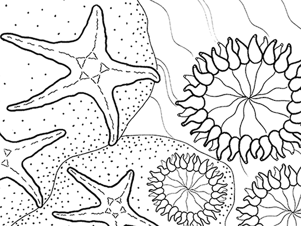 600x450 Coloring Pages