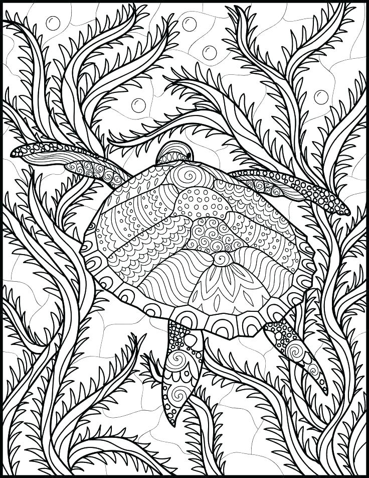 736x952 Ocean Life Coloring Pages Ocean Life Coloring Pages For Ocean