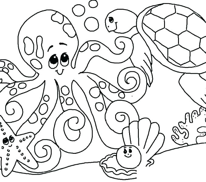 678x600 Shell Coloring Pages Sea Shells Coloring Pages Sea Shells Coloring