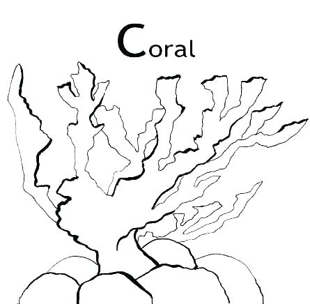 445x436 Coral Reef Coloring Page Ocean Coral Coloring Pages