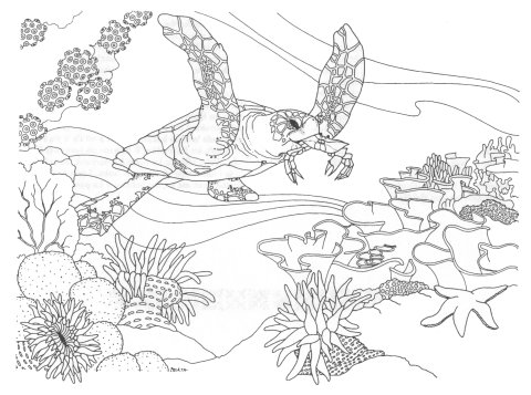 480x357 Drawn Coral Reef Coloring Page