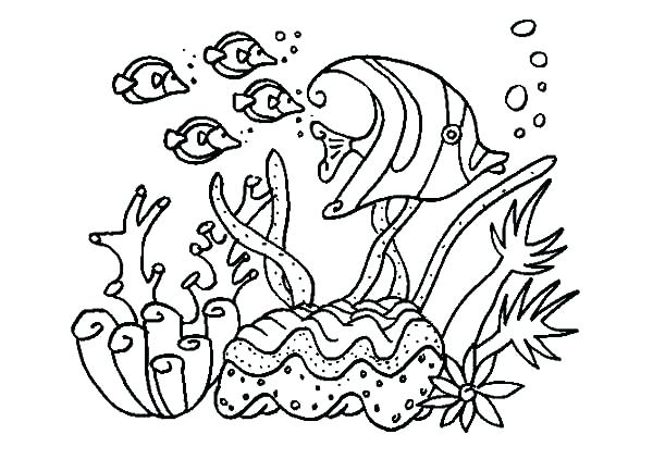 600x422 Fish Coloring Page For Kids A Group Of Fish In Coral Reef Sea