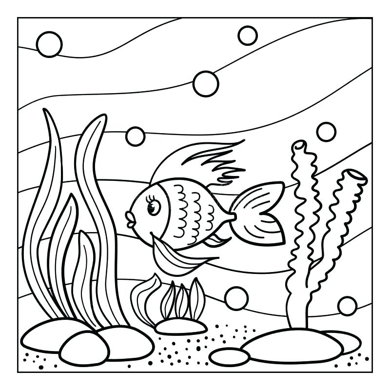 800x800 Coral Reef Printables