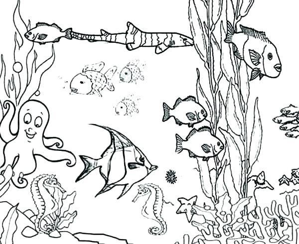 600x490 Coloring Pages Ocean Coral Coloring Pages Ocean Fish Coloring