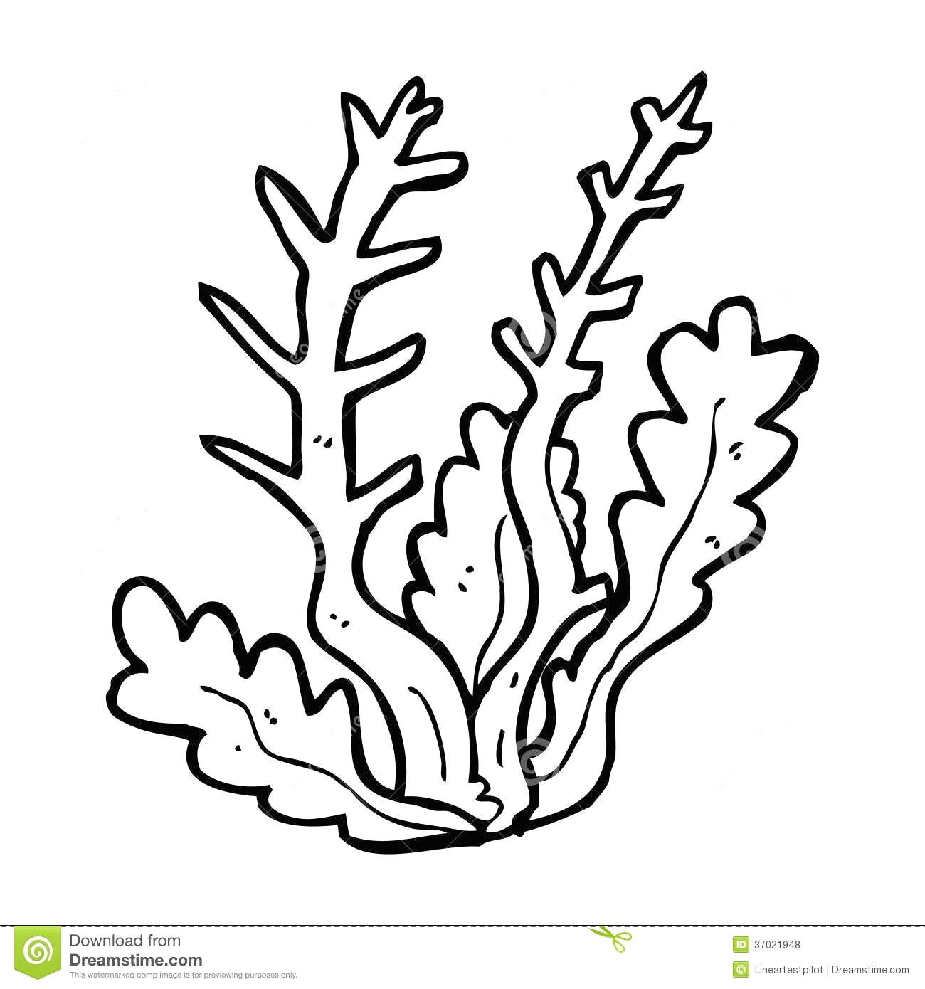 1300x1390 Coloring Pages Ocean Plants Coloring Pages