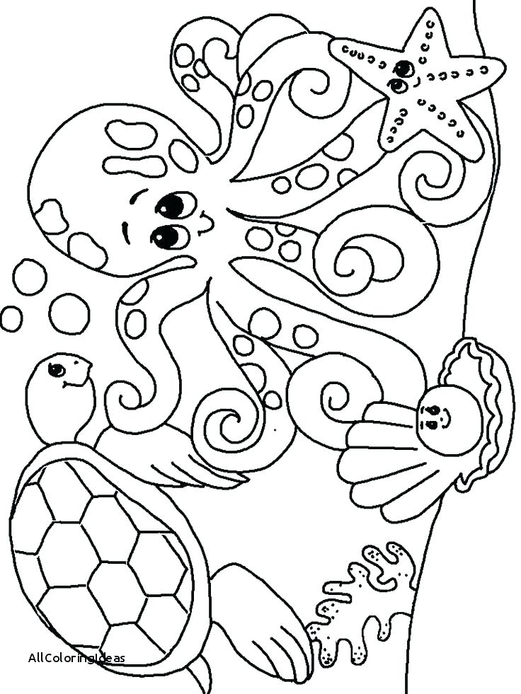 736x981 Coral Coloring Pages Sea Urchin Coloring Page Coral Coloring Pages