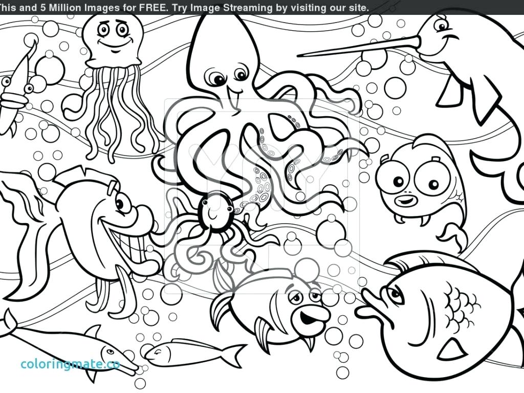 1024x768 Exclusive Sea Creatures Coloring Pages For Kids Unusual Life Is