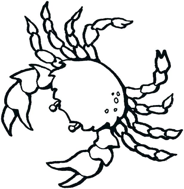 618x635 Sea Creature Coloring Pages Zoo Animals Coloring Pages Animal
