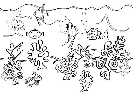 551x400 Coloring Pages Ocean Creatures