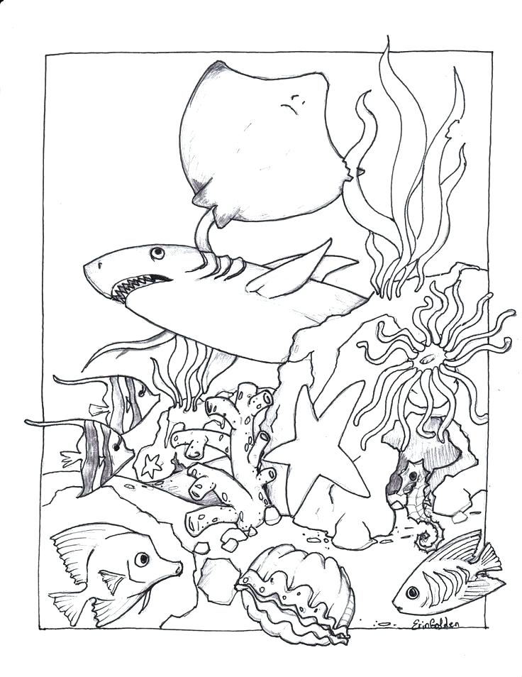 736x954 Sea Creatures Coloring Page