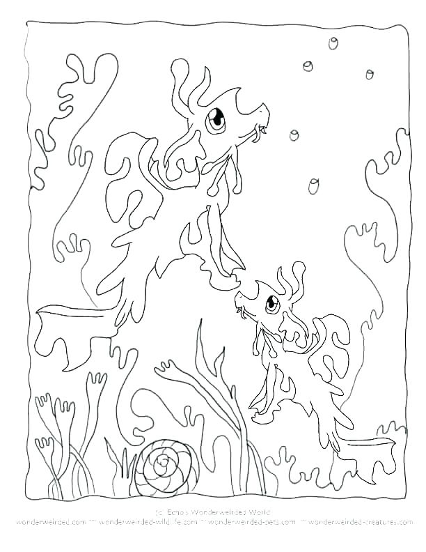 612x792 Sea Dragon Coloring Pages Sea Dragon Coloring Pages Manna Coloring