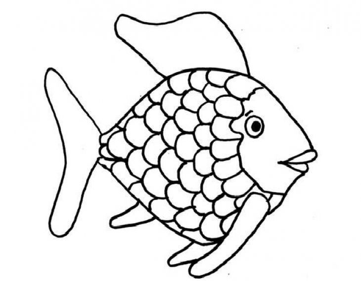 730x569 Kids Printable Rainbow Fish Coloring Page Free Creative Kids