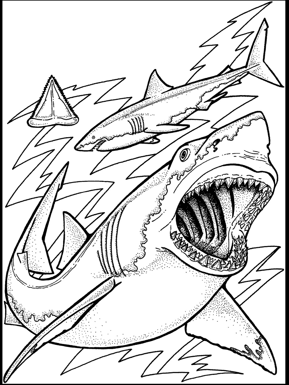 950x1266 Ocean Coloring Page Inspirational Sea Fish Coloring Pages Disney