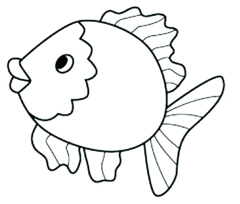 800x680 Ocean Fish Coloring Pages Fish Coloring Pages Fish Coloring Page