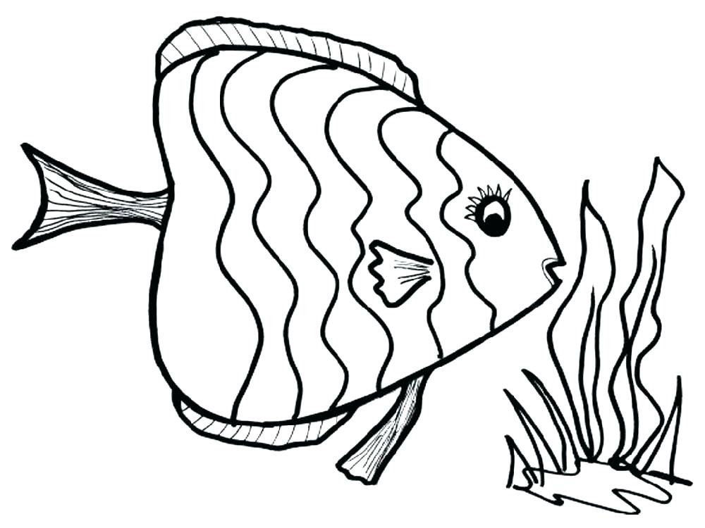 1000x750 Ocean Free Coloring Pages Ocean Fish Coloring Pages Fish Color