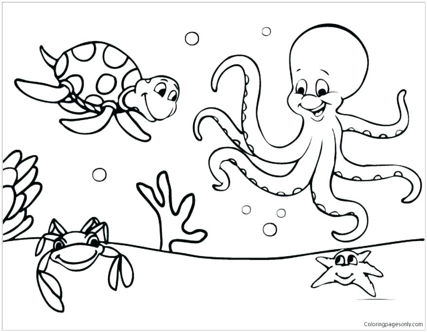 878x683 Sea Creature Coloring Pages Ocean Fish Coloring Pages Ocean Fish
