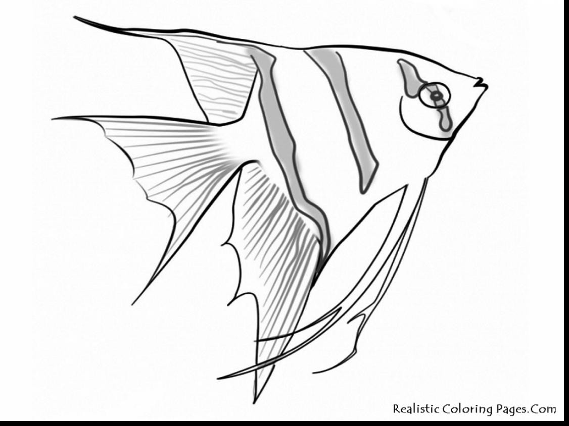 1126x844 Best Photos Of Realistic Fish Coloring Pages Bass Exceptional Sea