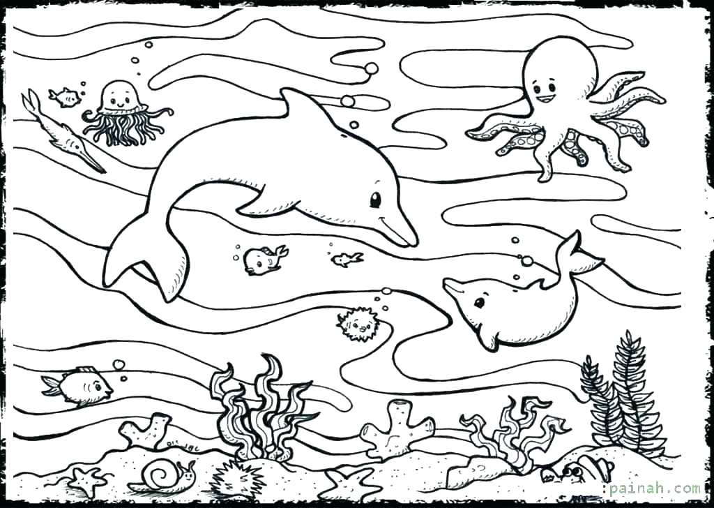 1024x728 Ocean Creatures Coloring Pages Ocean Creatures Coloring Pages
