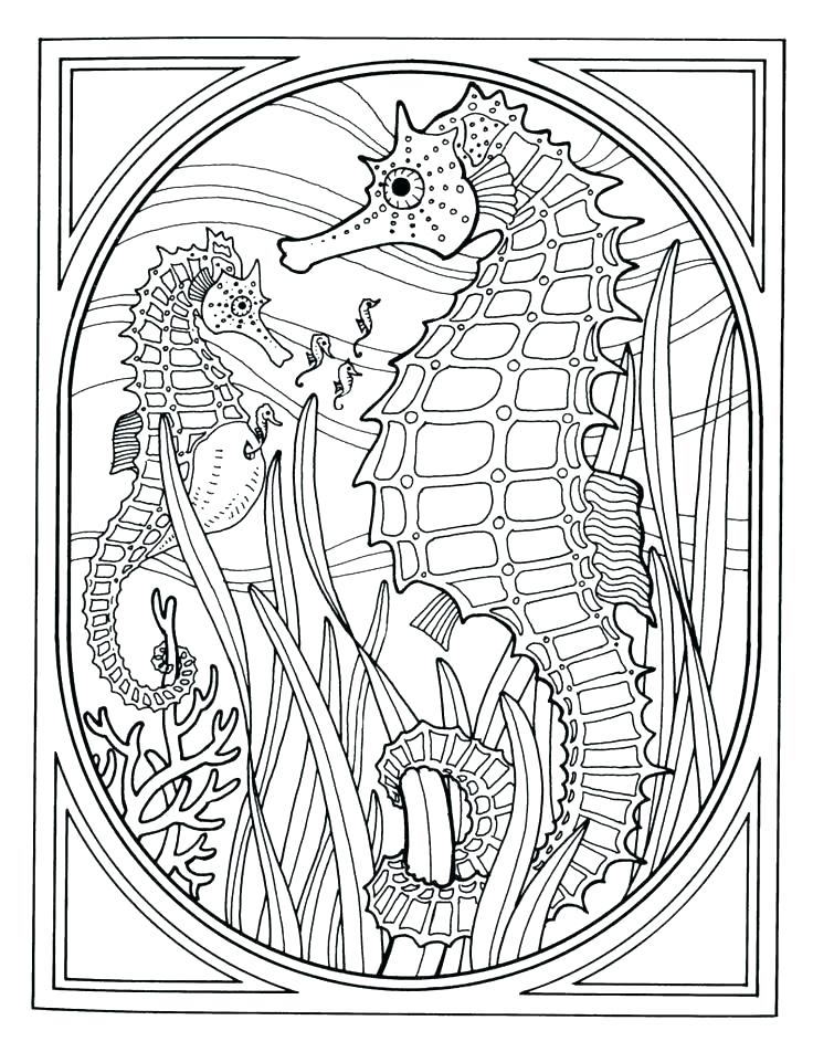 736x952 Ocean Scene Coloring Page Free Ocean Coloring Pages Download