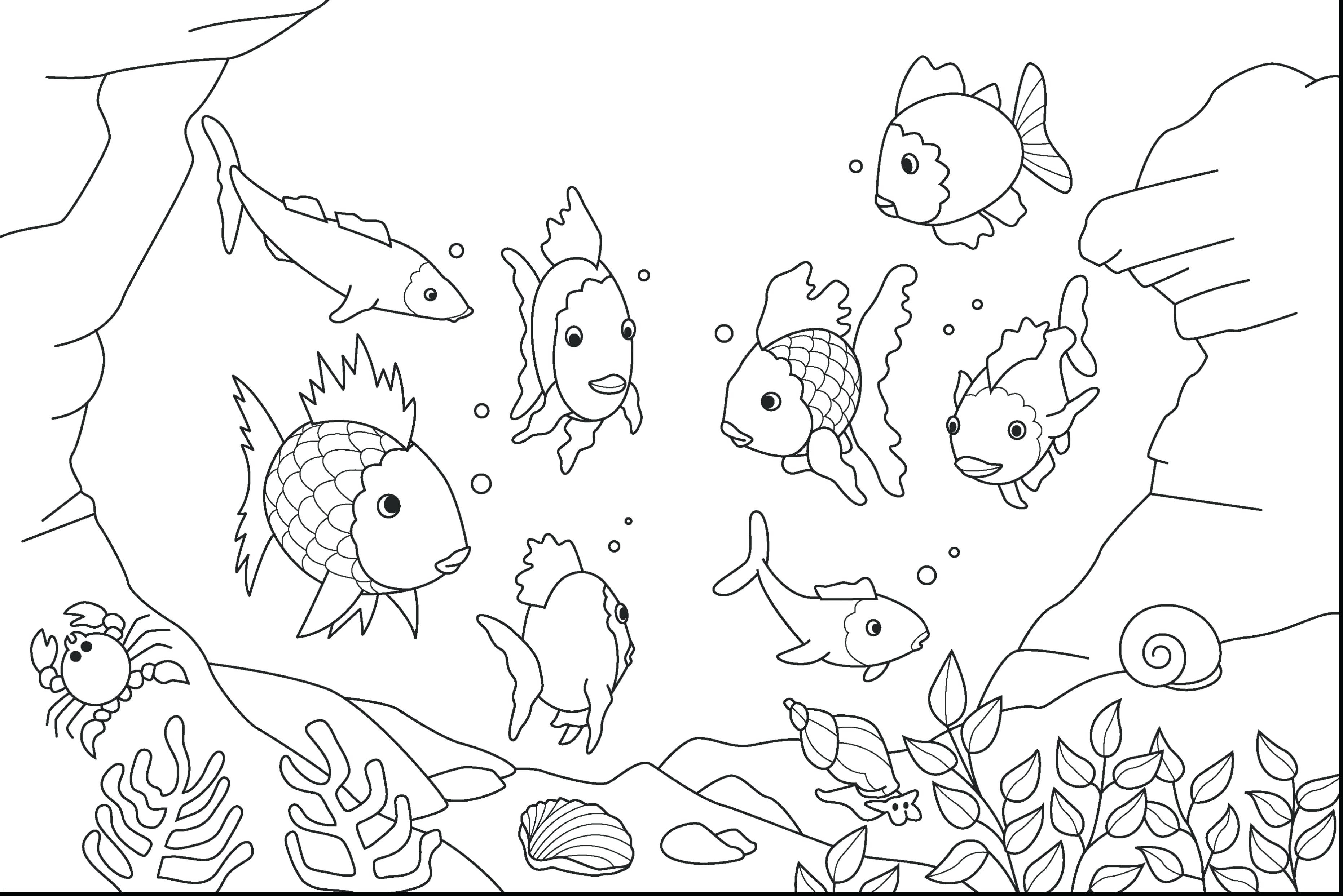 3724x2486 Sea Animals Clipart Coloring Pages