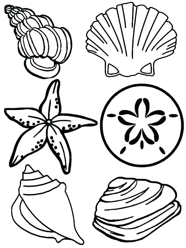 600x800 Sea Life Coloring Pages Coloring Pages Ocean Marine Life Coloring