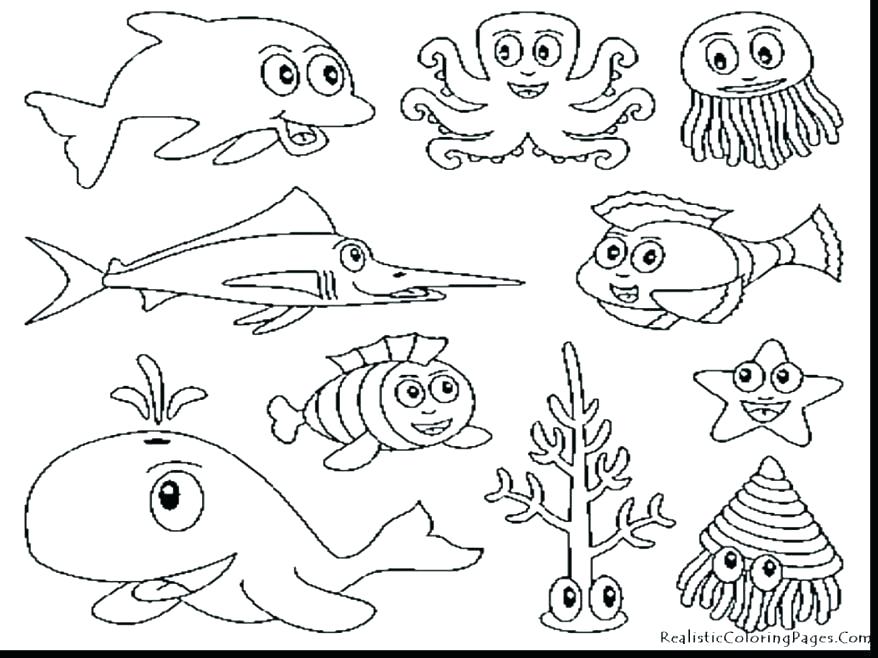 878x658 Free Printable Sea Life Coloring Pages Free Printable Sea Life Ng