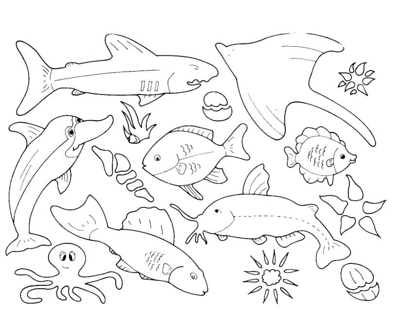 825x686 Marine Life Coloring Pages Endorsed Marine Life Coloring Pages Me