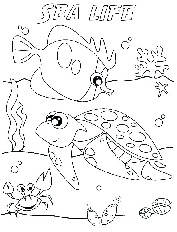 618x811 Marine Life Coloring Pages Marines Coloring Pages Marine Life