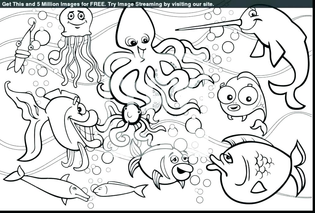 1024x692 Marine Life Coloring Pages Under The Sea Coloring Sheets Marine