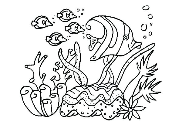 600x422 Ocean Coloring Page Related Post Ocean Life Coloring Pages