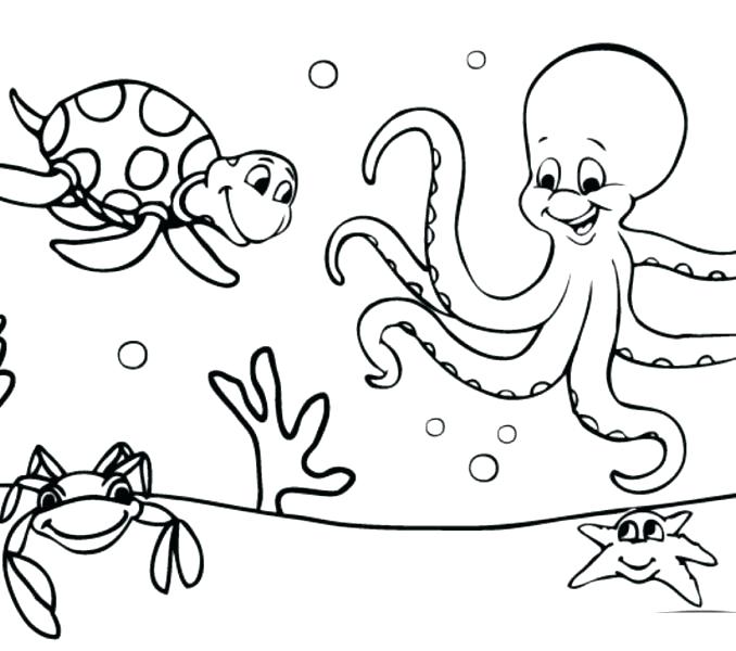 678x600 Ocean Coloring Pages For Preschool Innovative Sea Animals Coloring
