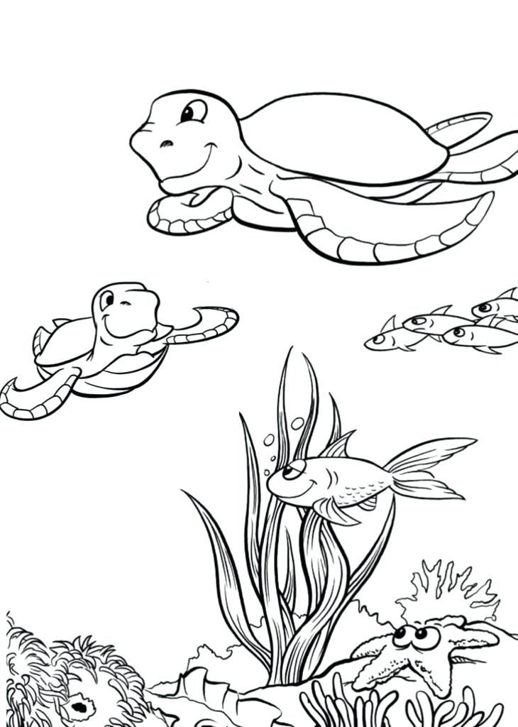 Sea Life Coloring Pages For Preschool at GetDrawings | Free download