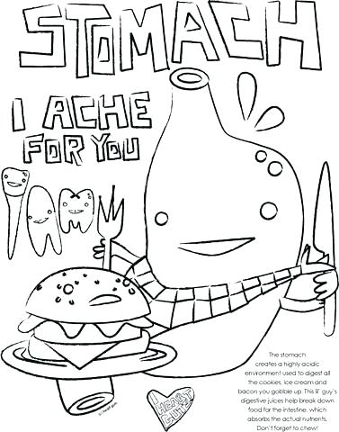 377x480 Sea Lion Coloring Page Digestive System Coloring Page Stomach
