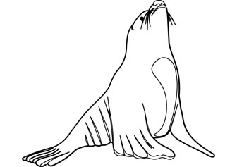 336x237 Sea Lion Color Pages