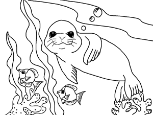 300x225 Sea Lion Swimming In The Sea Free Printable Coloring Page For Kids