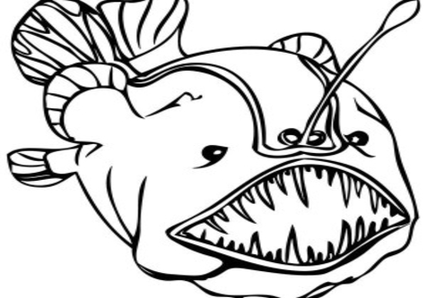 476x333 Deep Sea Squid Coloring Pages Page Image Clipart Images
