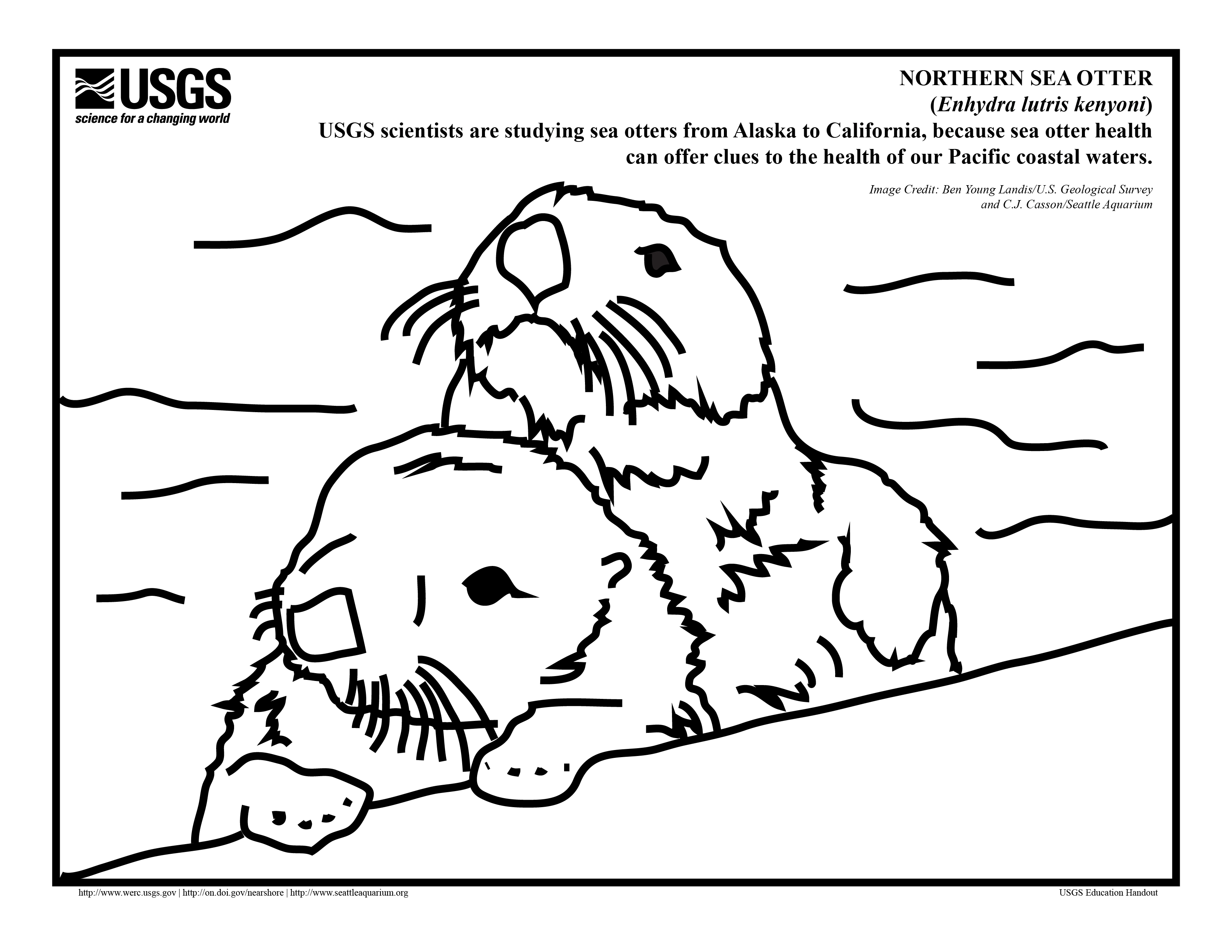 3300x2550 Pleasant Design Otter Coloring Pages Sea Page Pictures Imagixs