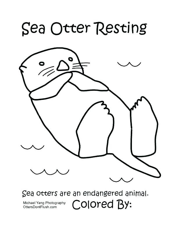 616x800 Sea Otter Coloring Page Elegant Sea Otters Drawing