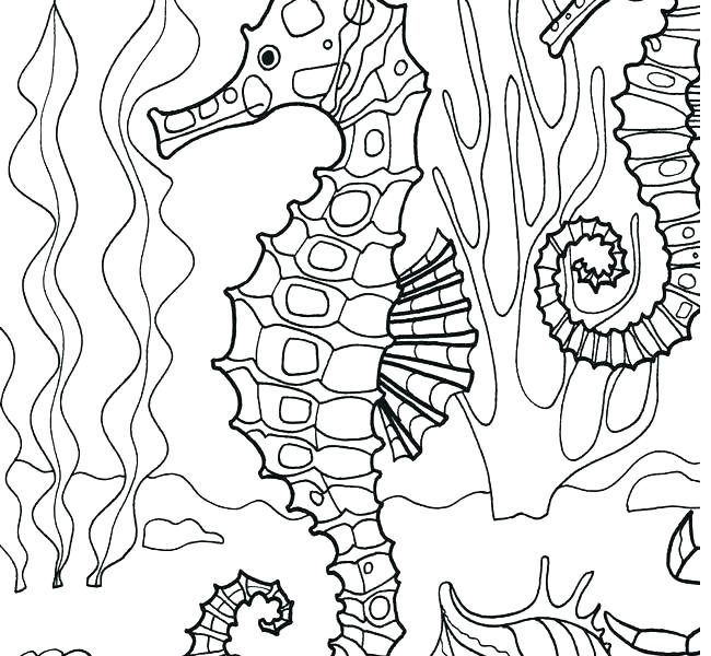 650x600 Sea Otter Coloring Pages Cartoon Sea Otter Coloring Pages For Kids