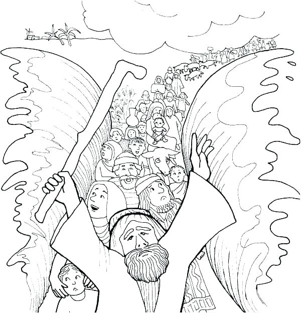 Sea Otter Coloring Page at GetDrawings | Free download