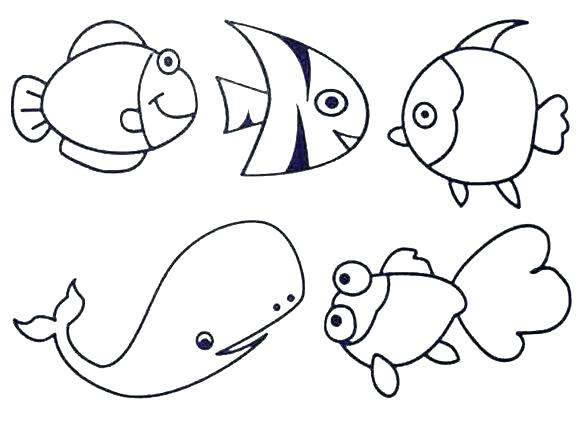 580x424 Sea Otter Coloring Pages Under The Sea Coloring Sea Life Coloring
