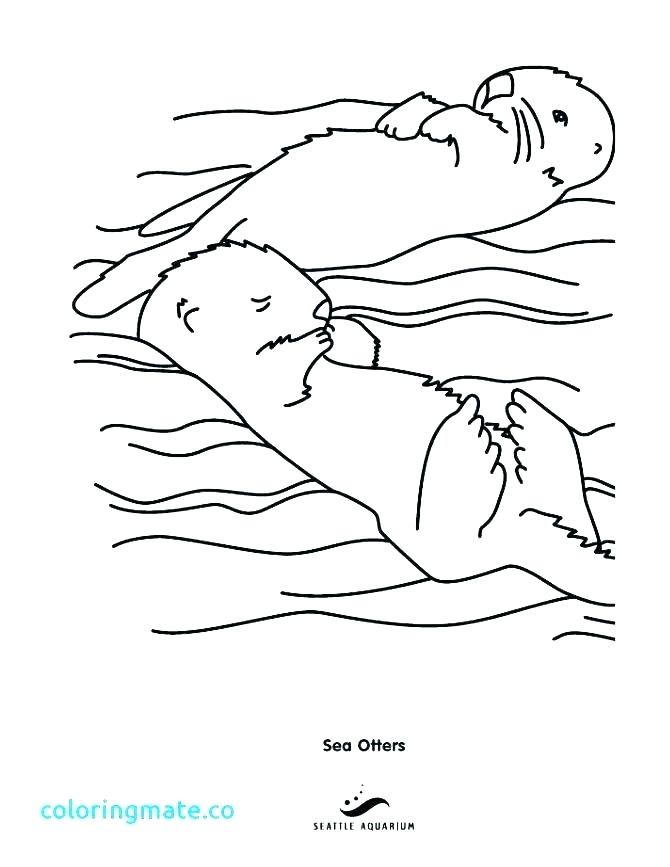670x867 Otter Coloring Pages