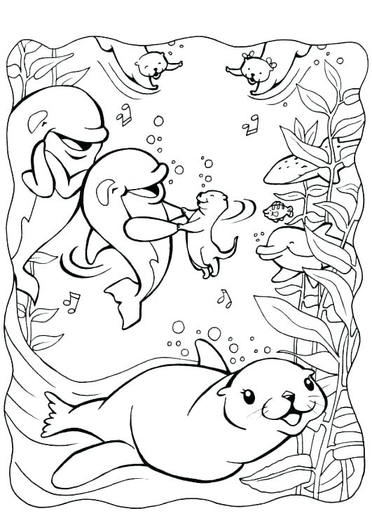 531x750 Sea Otter Coloring Pages Free